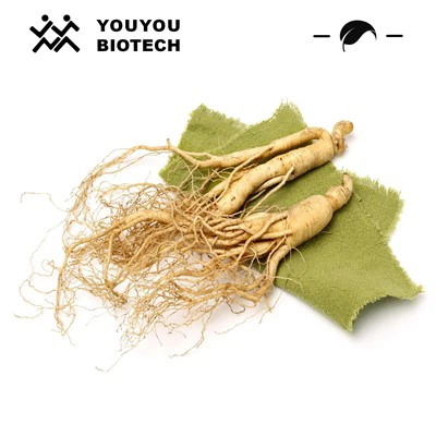 Estratto di ginseng Panax